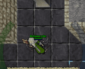 otclient screenshot 2