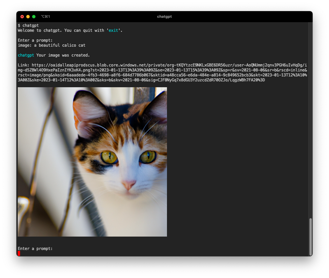chatGPT-shell-cli screenshot 2