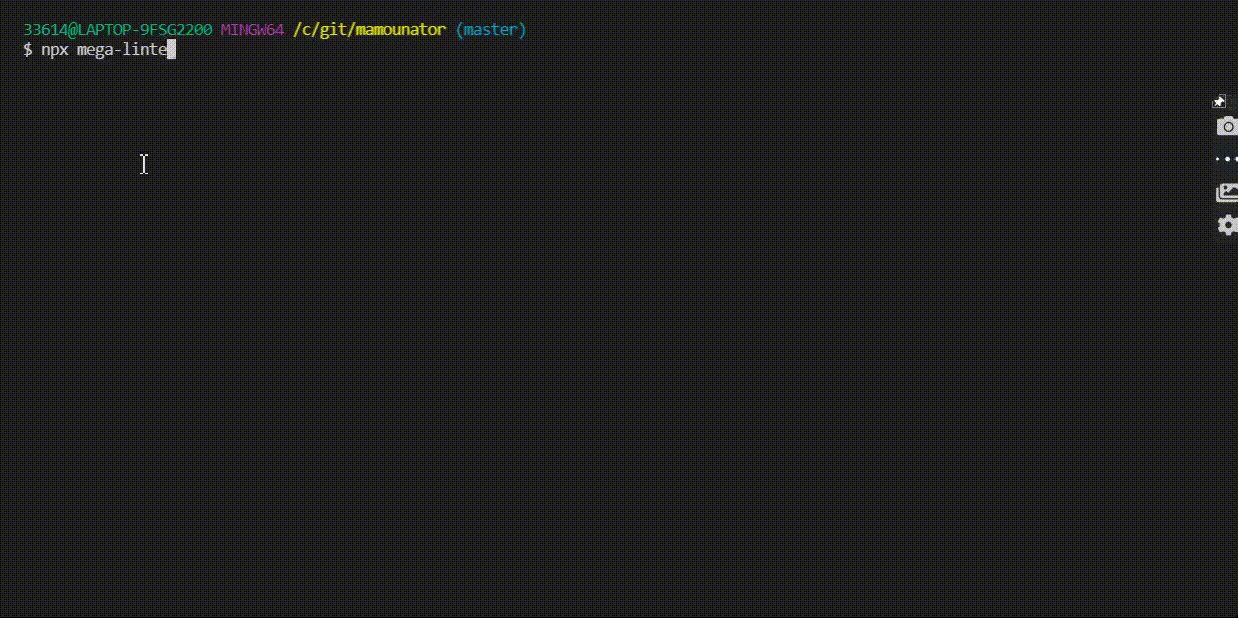 megalinter screenshot 2