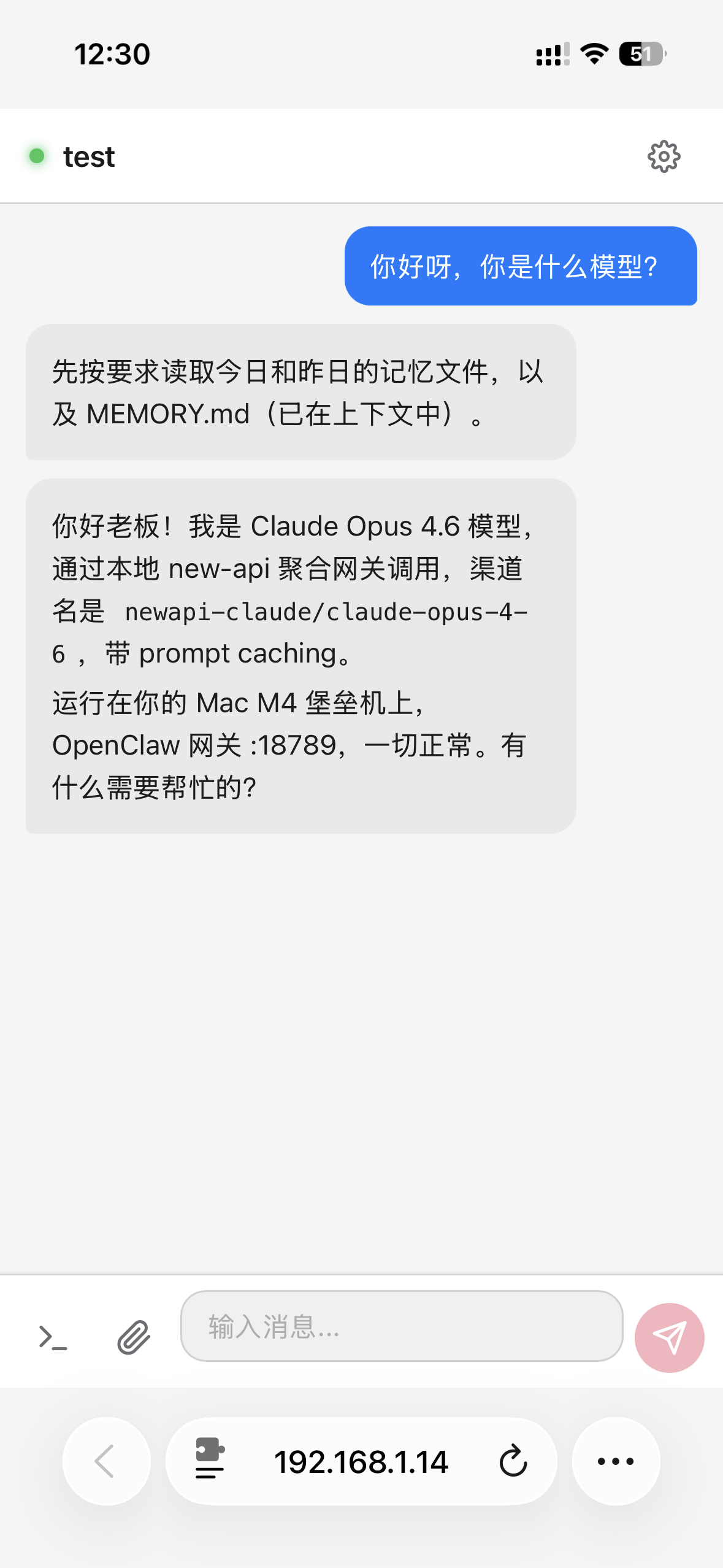 OpenClawChineseTranslation screenshot 4