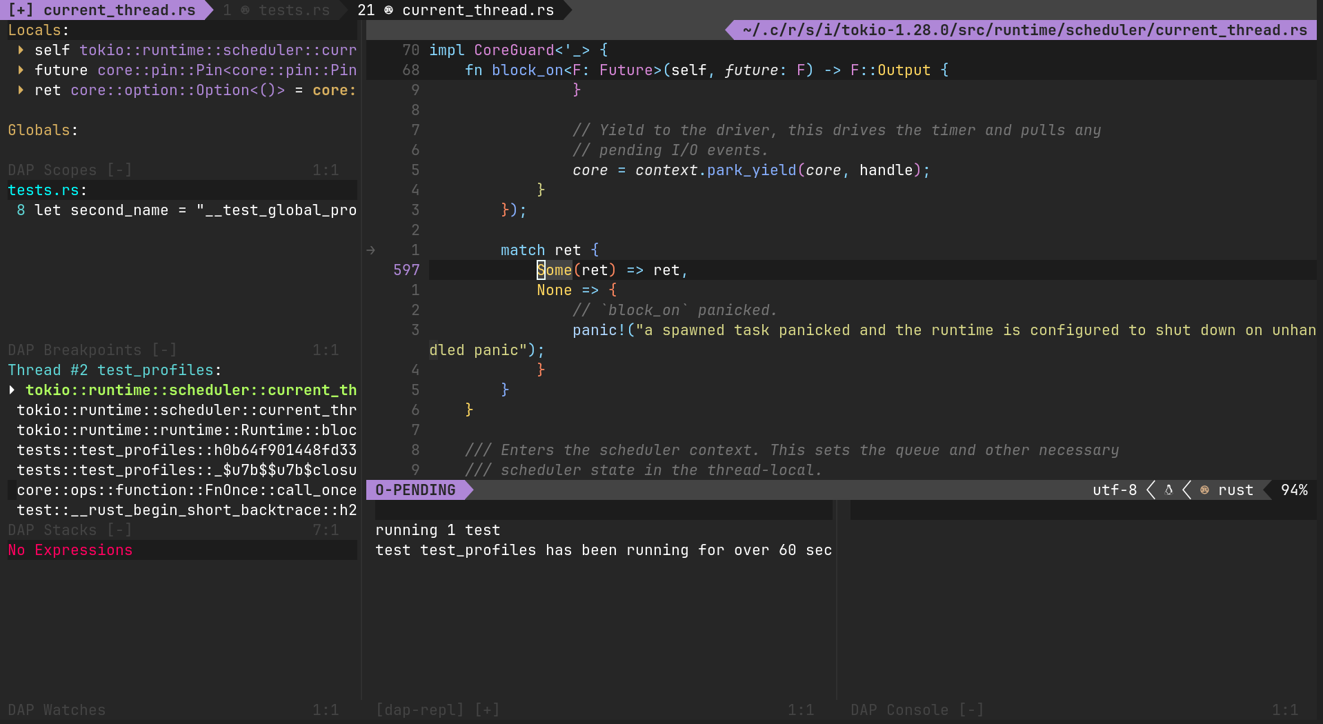 rustaceanvim screenshot 2