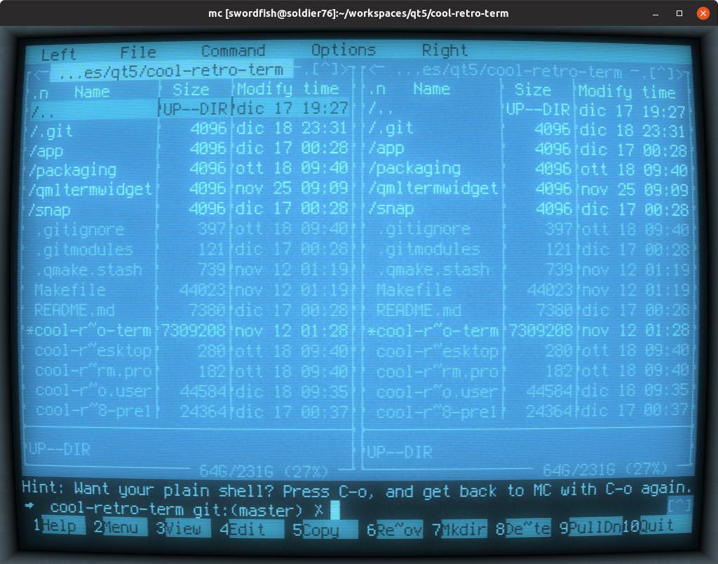 cool-retro-term screenshot 3