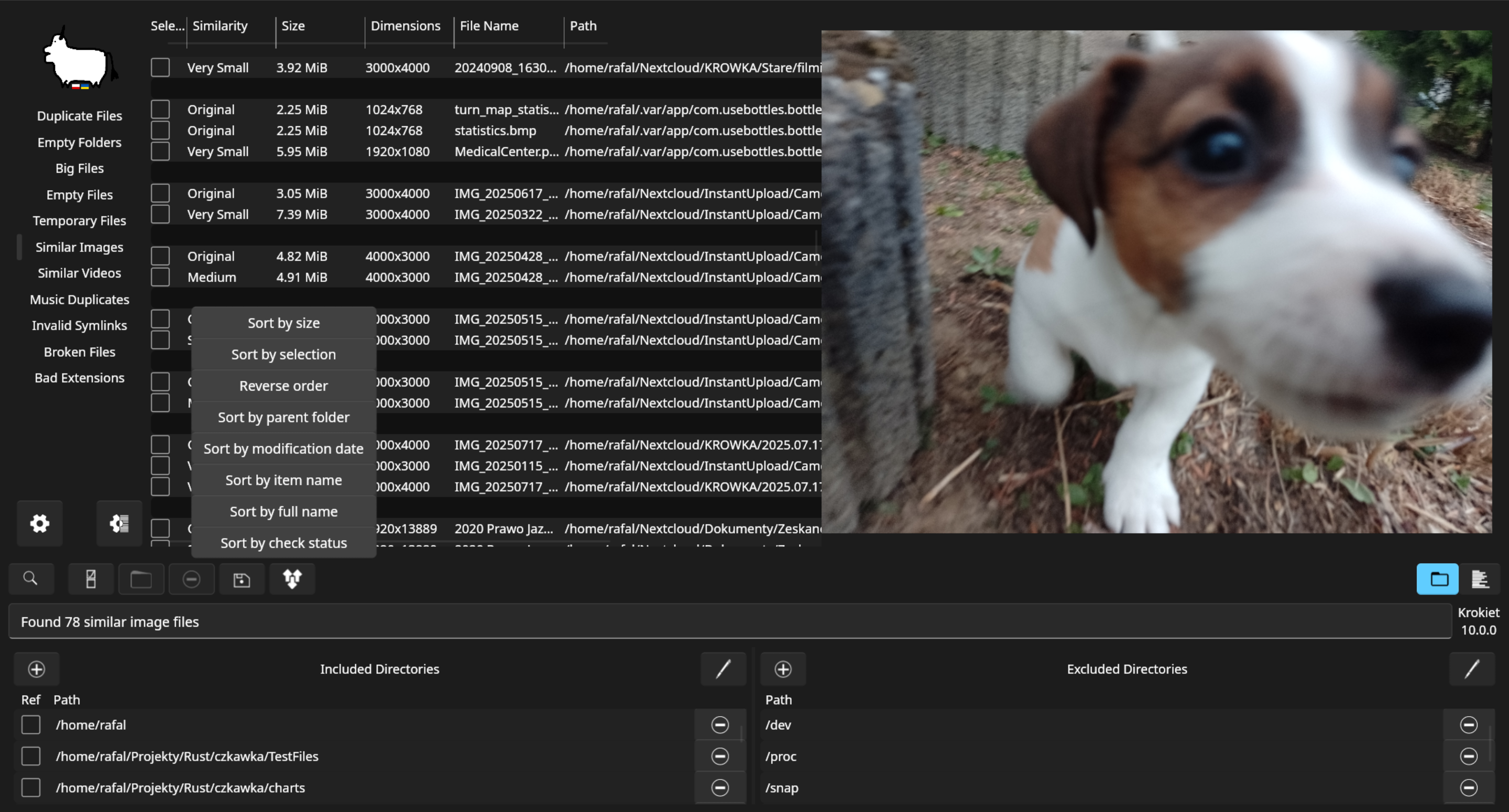 czkawka screenshot 3