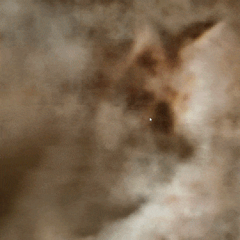 instant-ngp screenshot 1