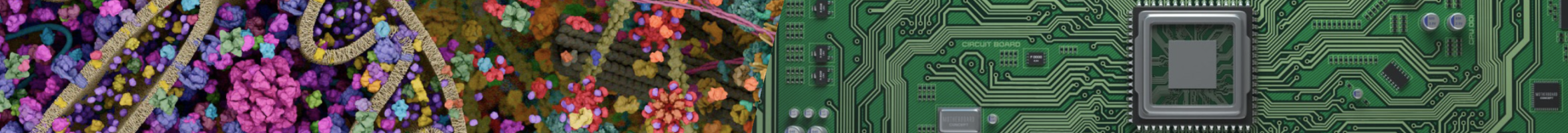 DL4Proteins-notebooks screenshot 1