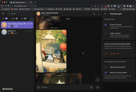 Telegram-Media-Downloader screenshot 2