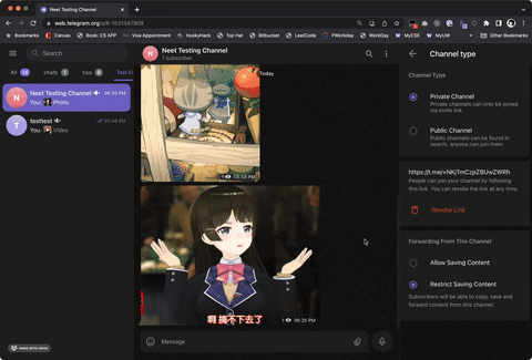 Telegram-Media-Downloader screenshot 1