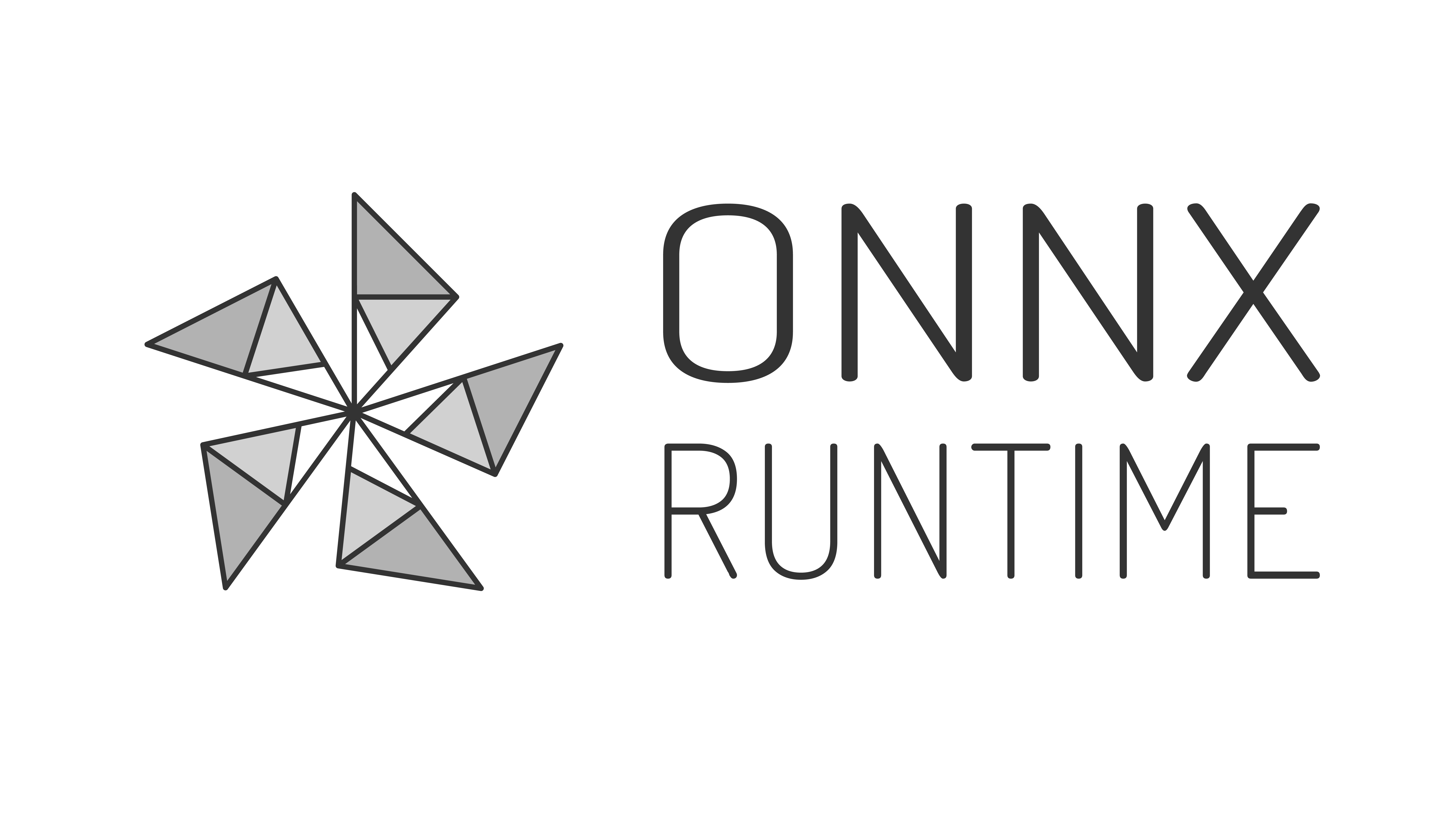 onnxruntime screenshot 1
