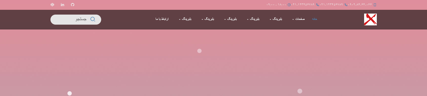 Web-Package-RTL screenshot 5