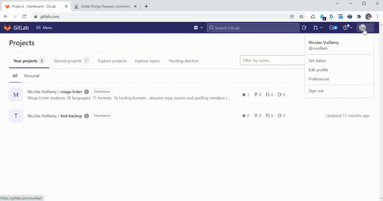 megalinter screenshot 3
