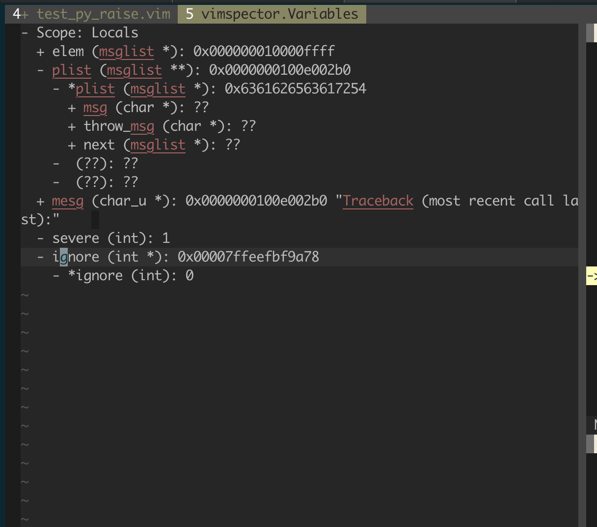 vimspector screenshot 3