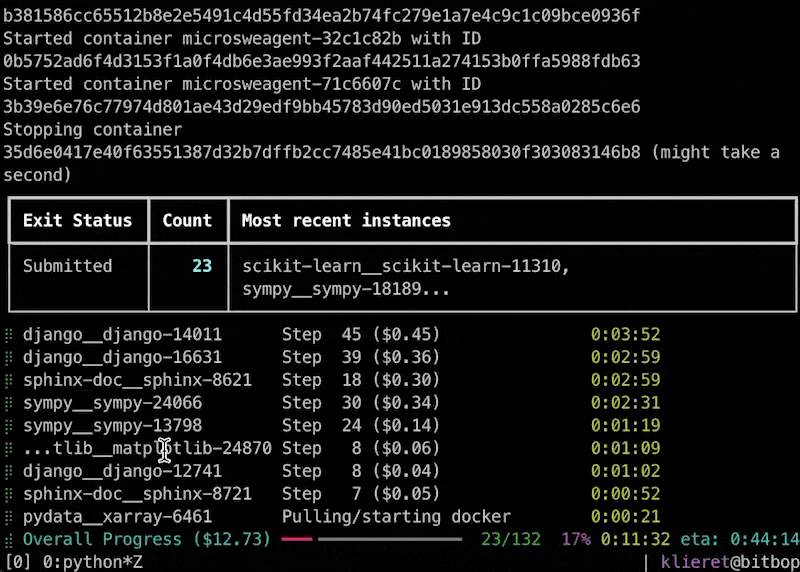 mini-swe-agent screenshot 3
