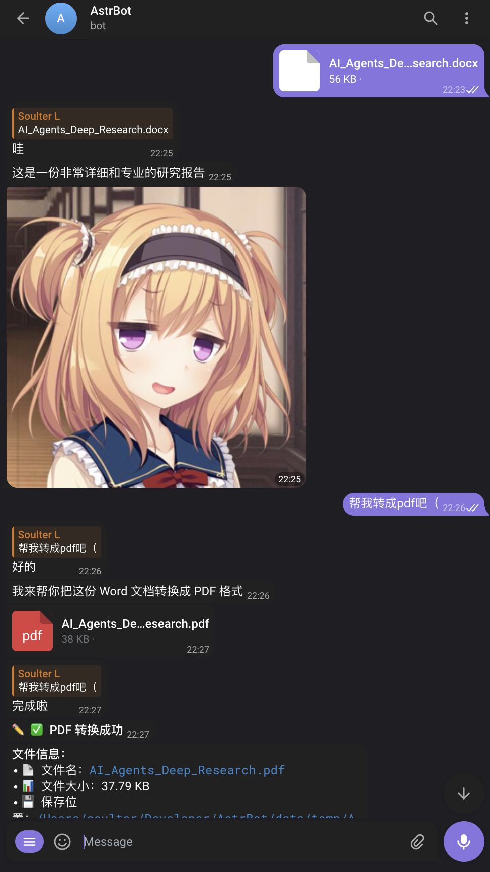 AstrBot screenshot 5