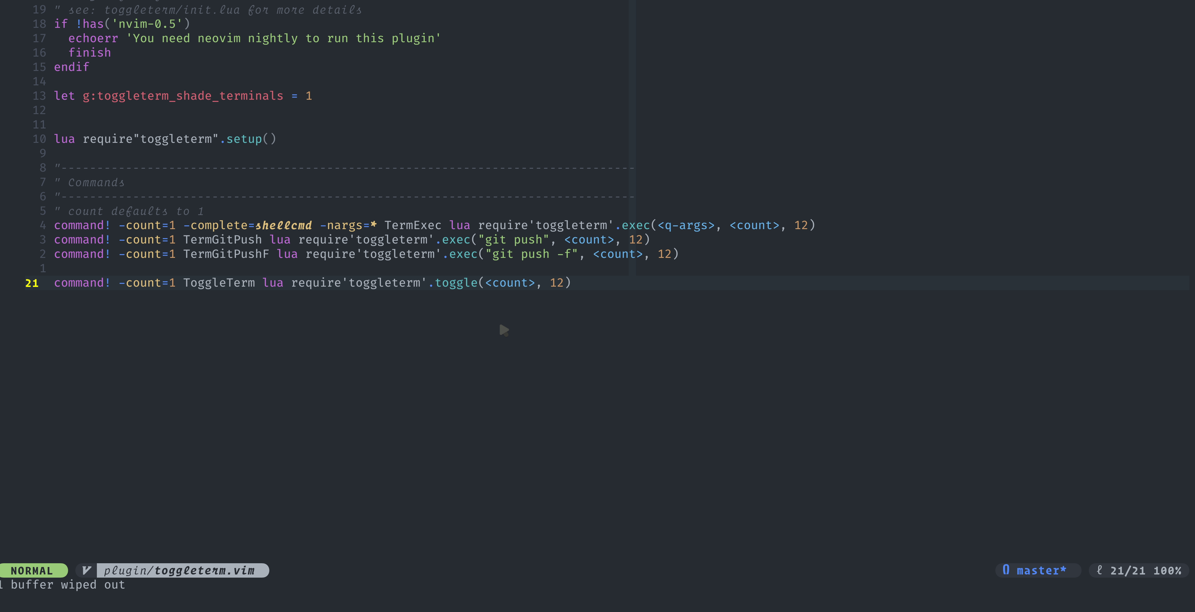 toggleterm.nvim screenshot 1