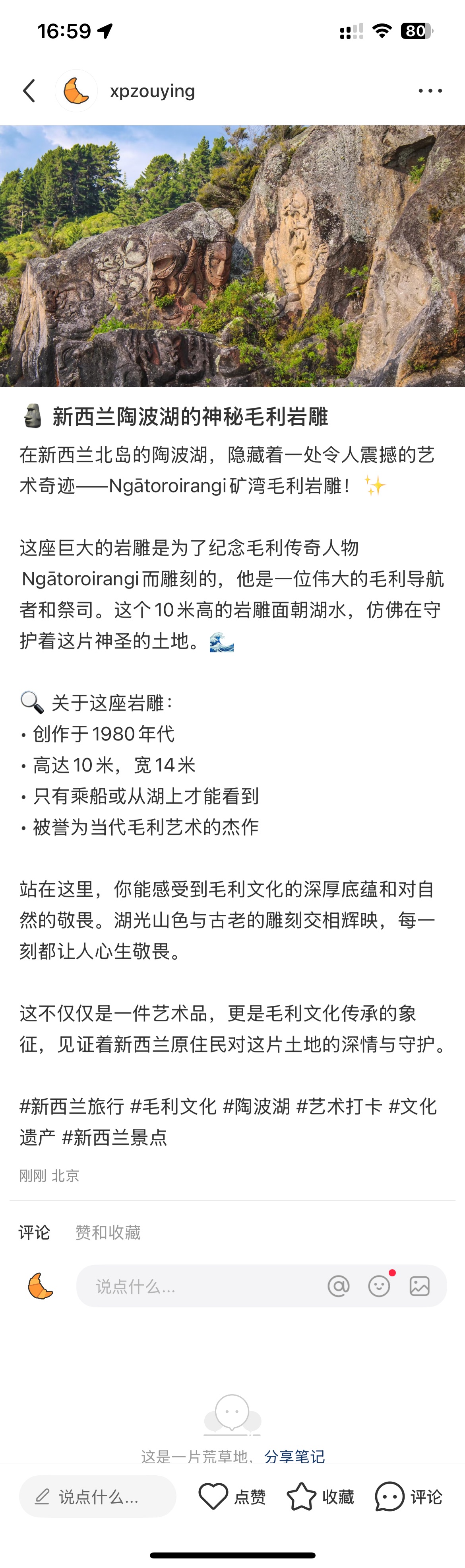 xiaohongshu-mcp screenshot 16