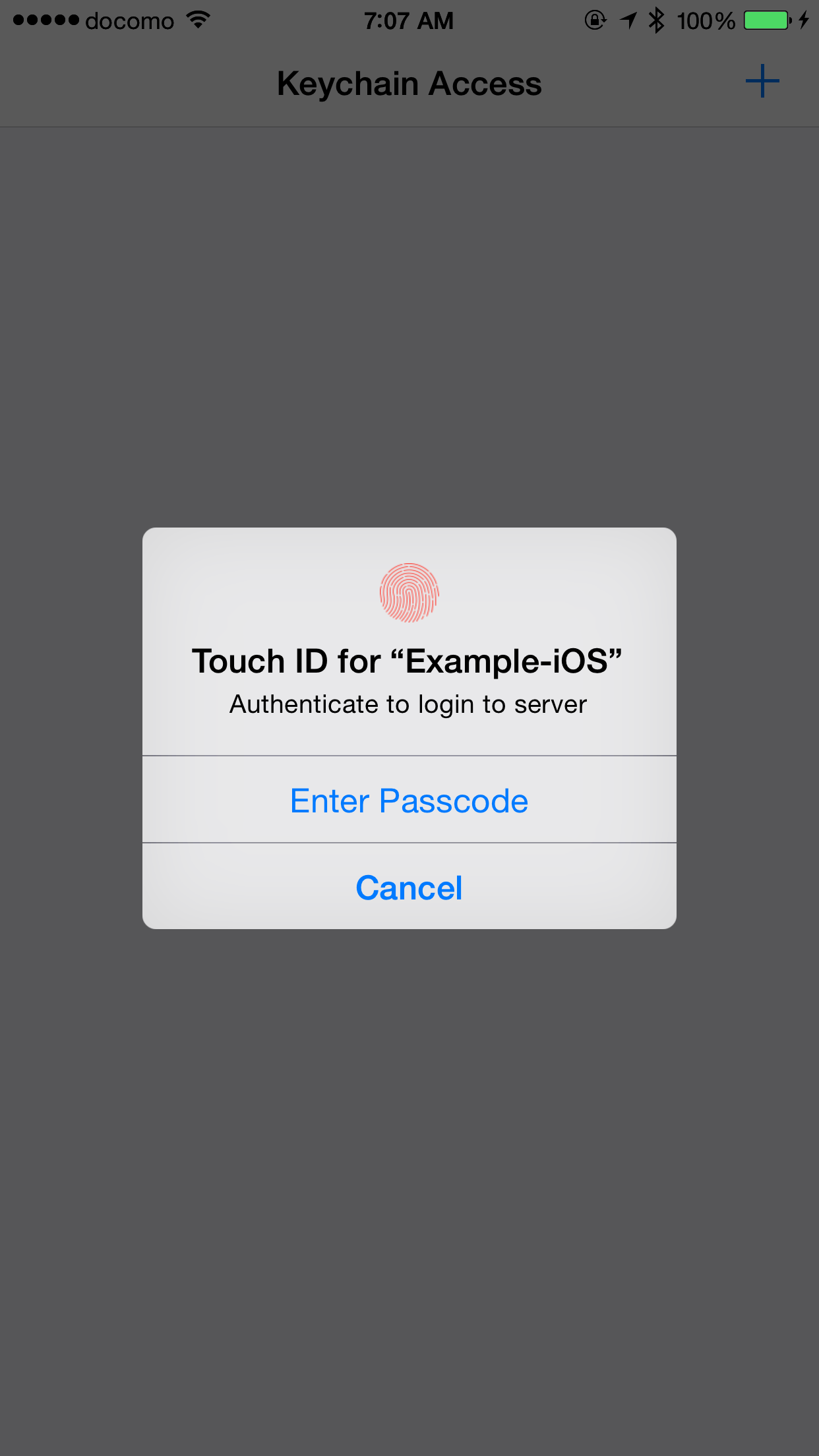 KeychainAccess screenshot 2