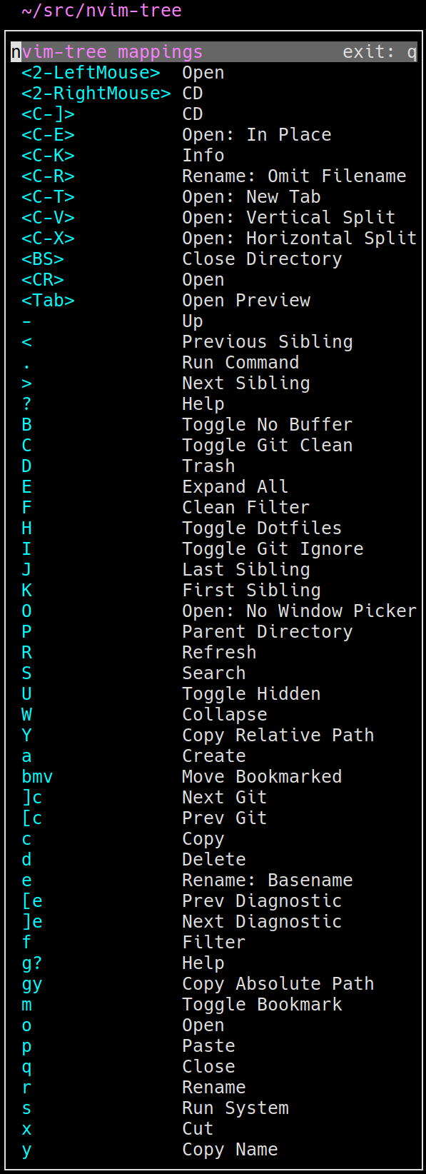 nvim-tree.lua screenshot 2