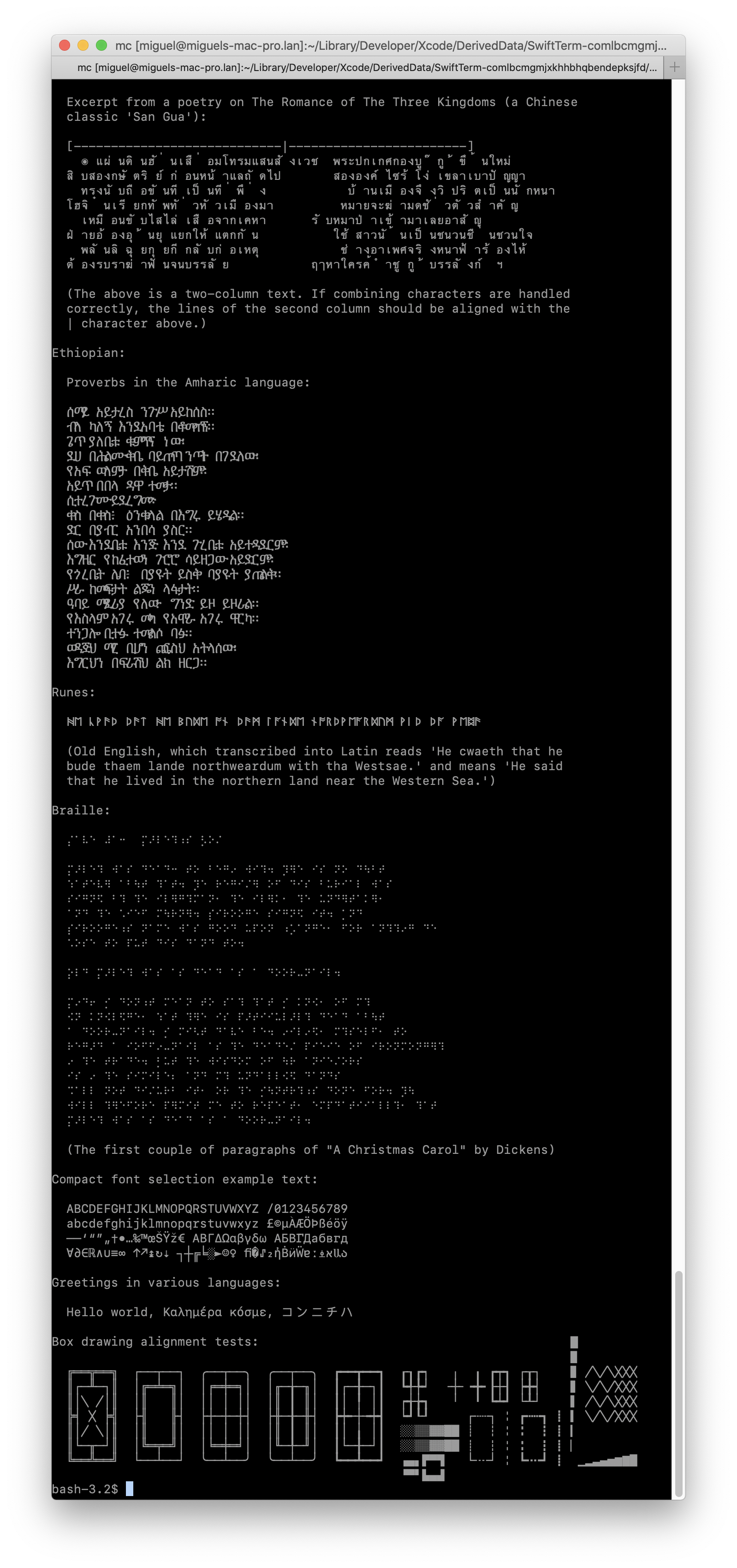 SwiftTerm screenshot 3
