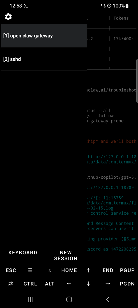 openclaw-android screenshot 3