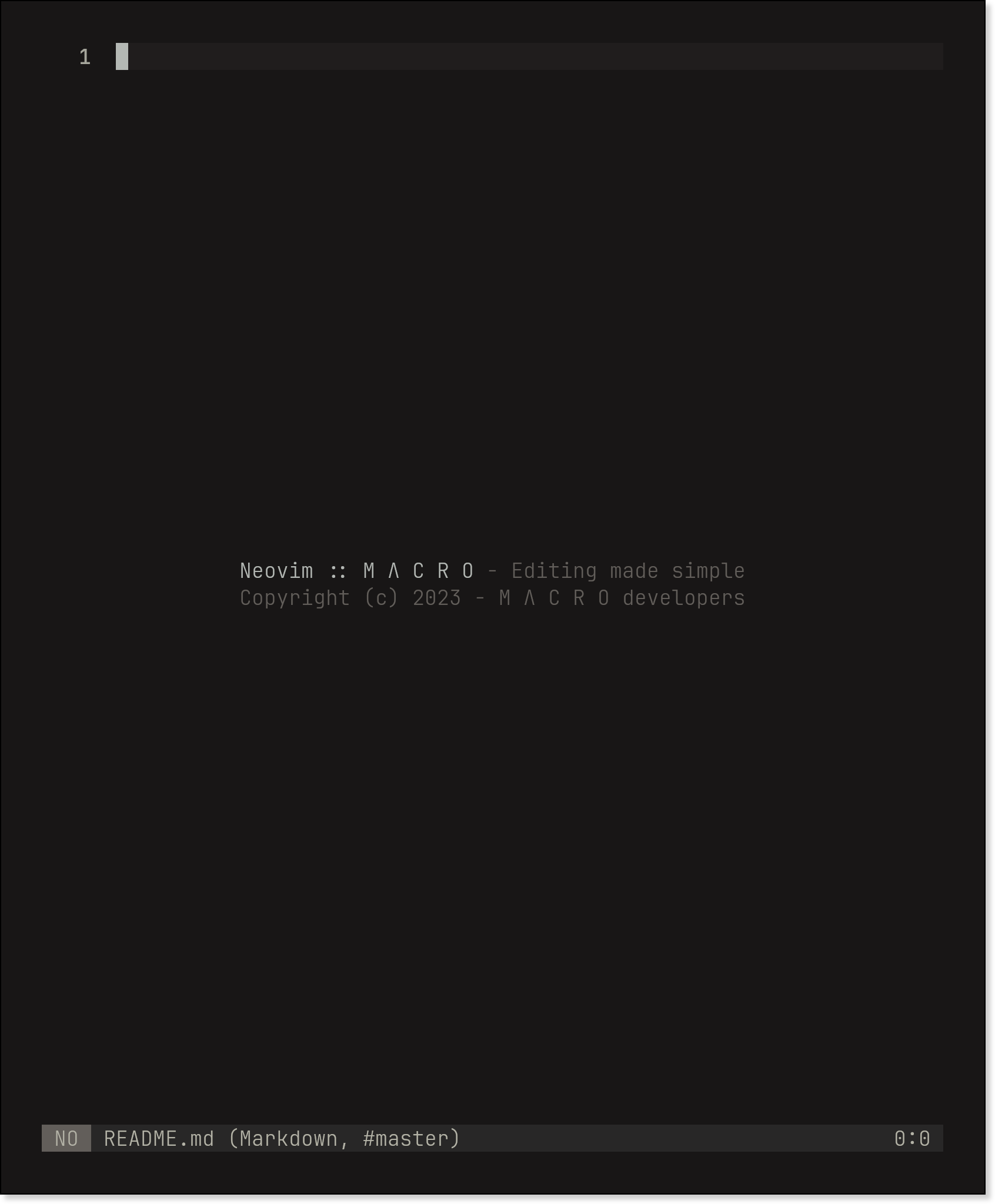 nvim screenshot 2