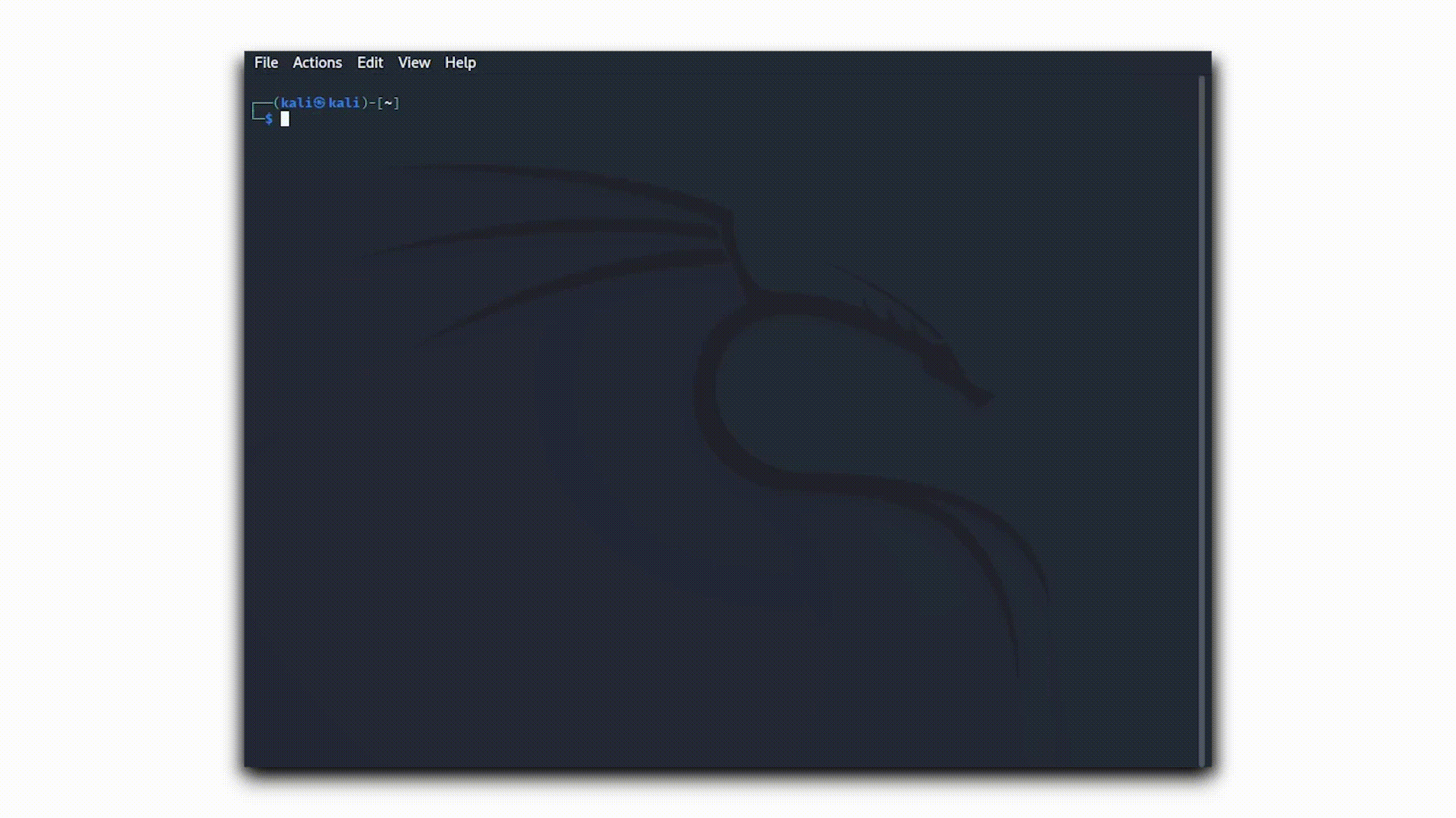 shark screenshot 7