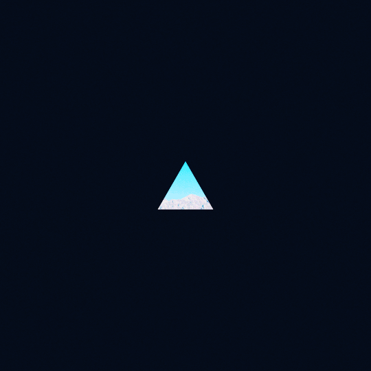 shark screenshot 6