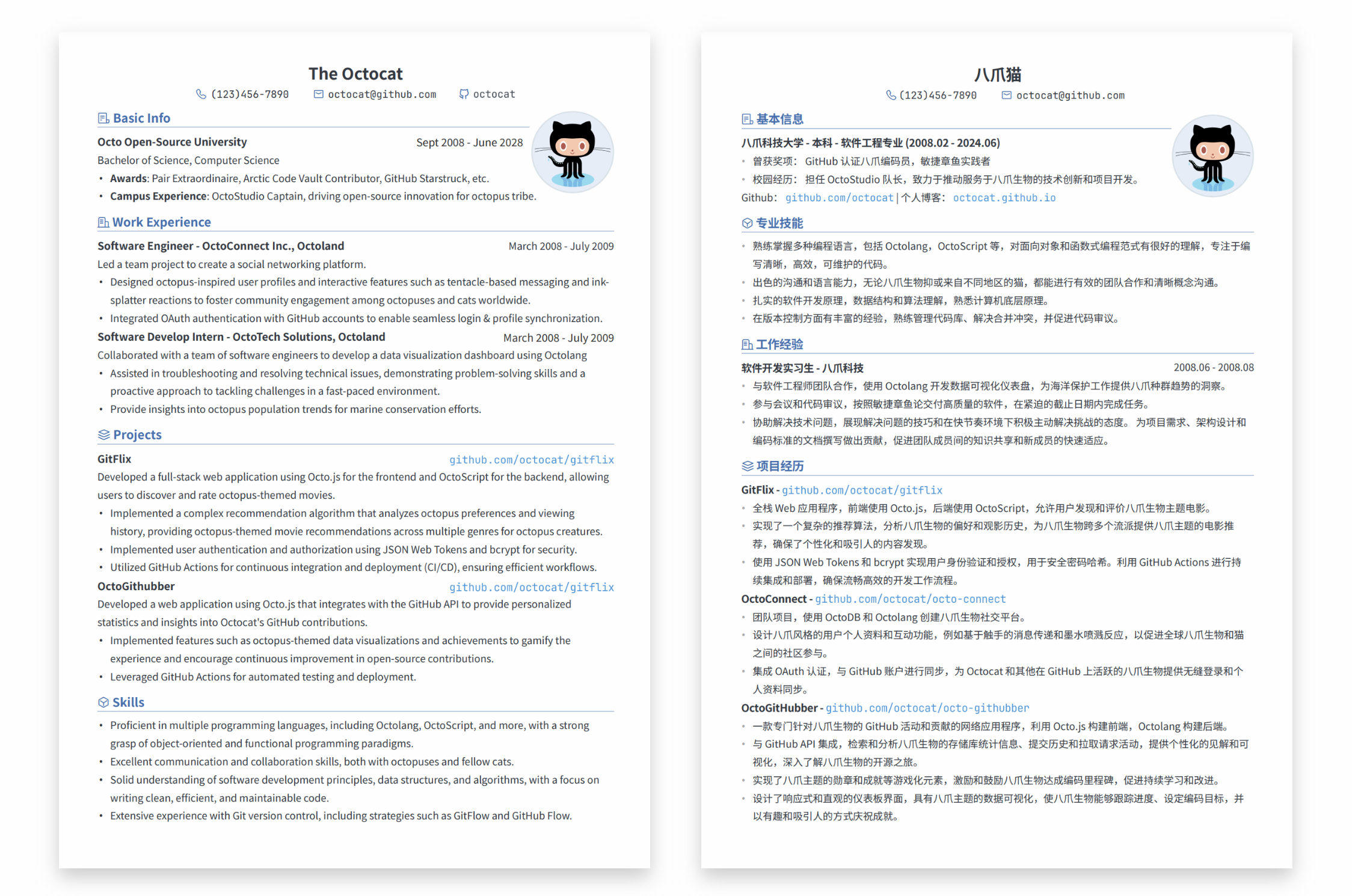 LapisCV screenshot 2