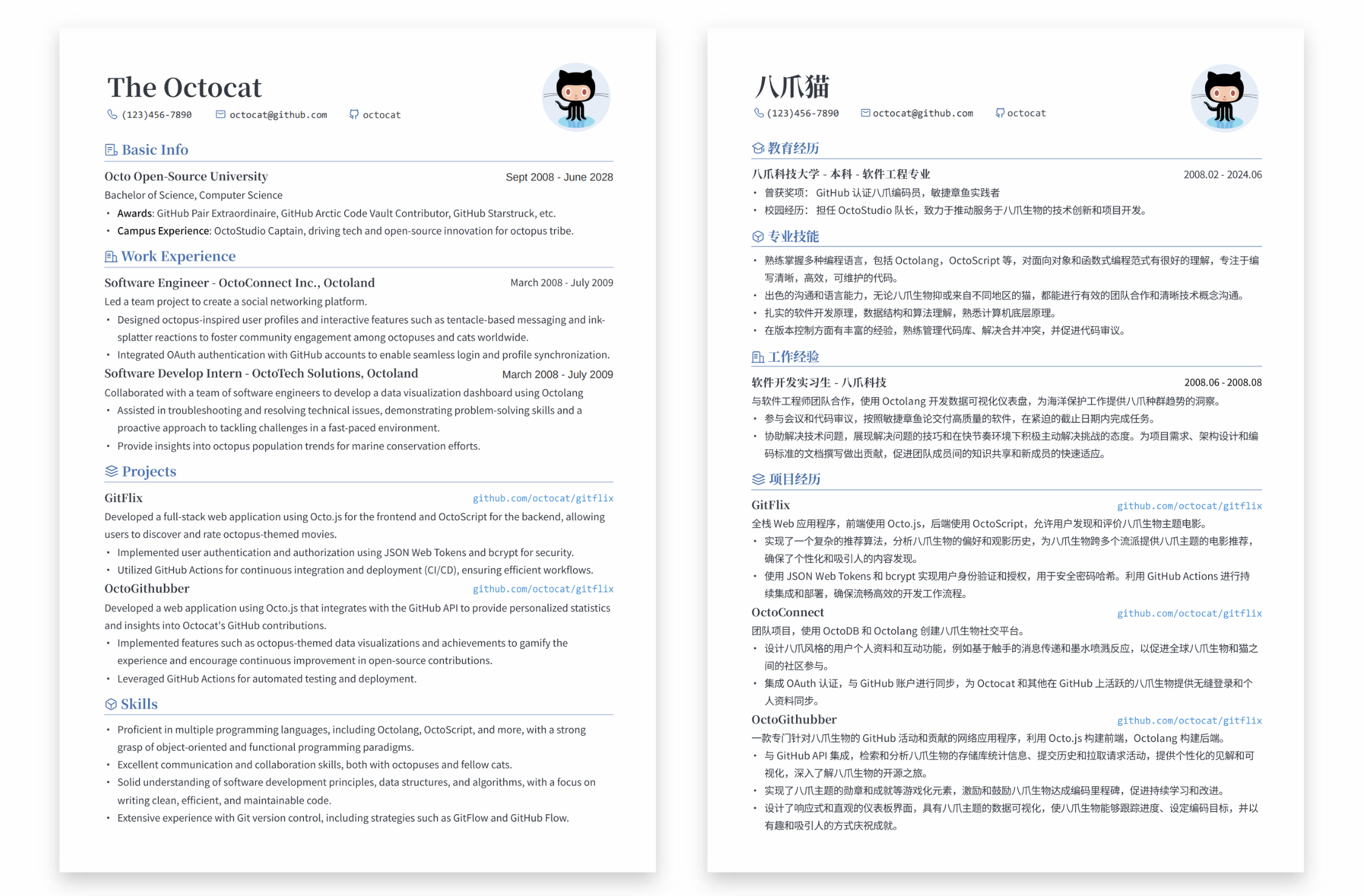 LapisCV screenshot 1