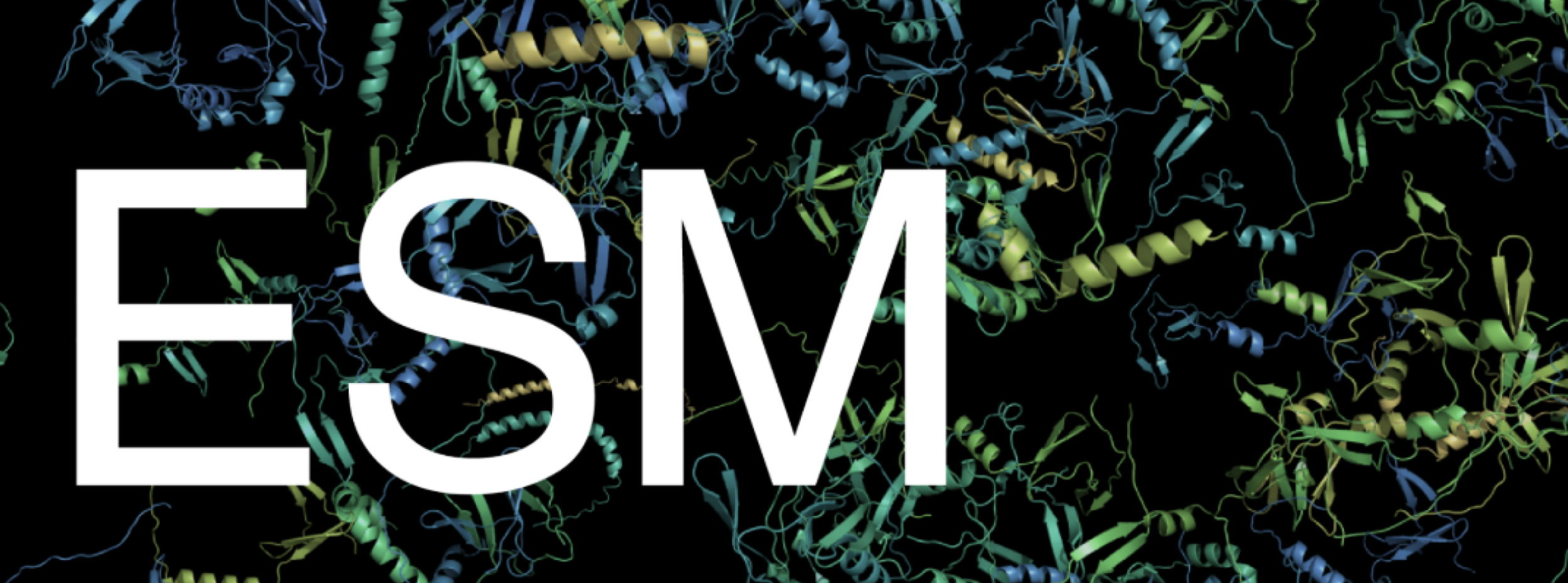 esm screenshot 1