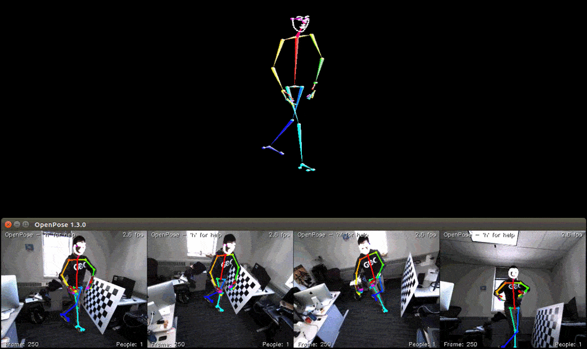 openpose screenshot 5