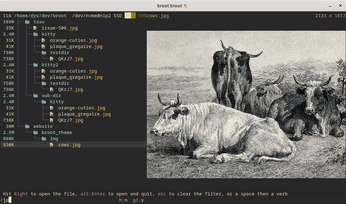 broot screenshot 1