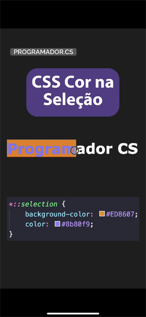 programador.cs-reels screenshot 65