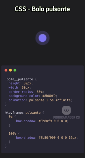programador.cs-reels screenshot 9