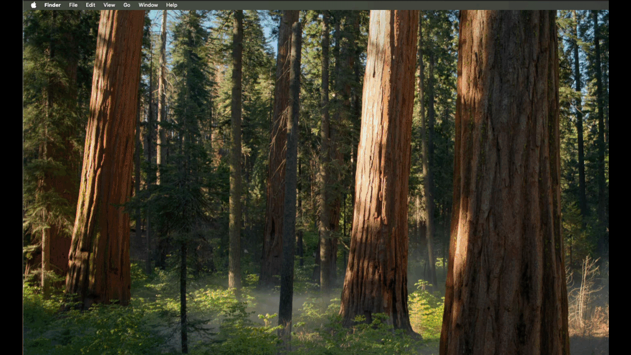 CloakBrowser screenshot 2