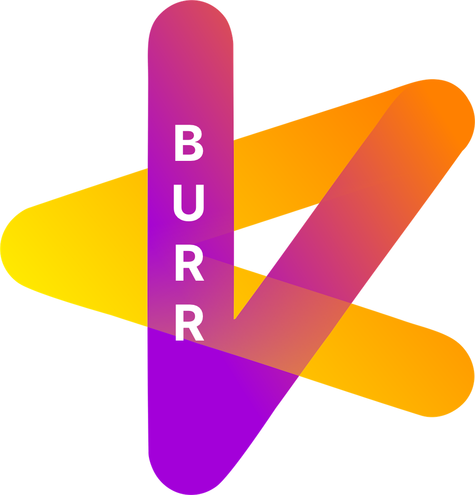 burr screenshot 1
