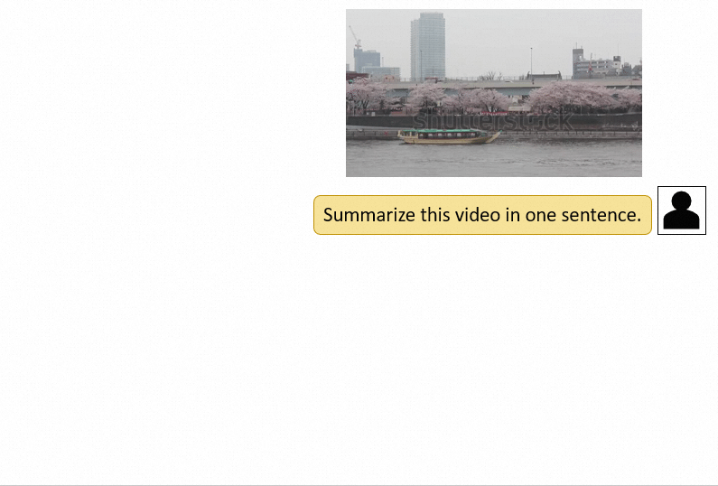 Video-LLaMA screenshot 6