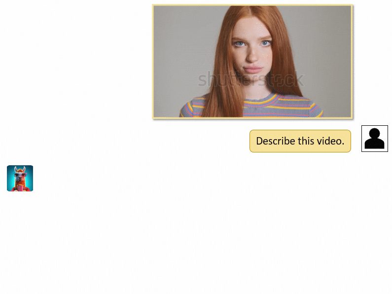 Video-LLaMA screenshot 5