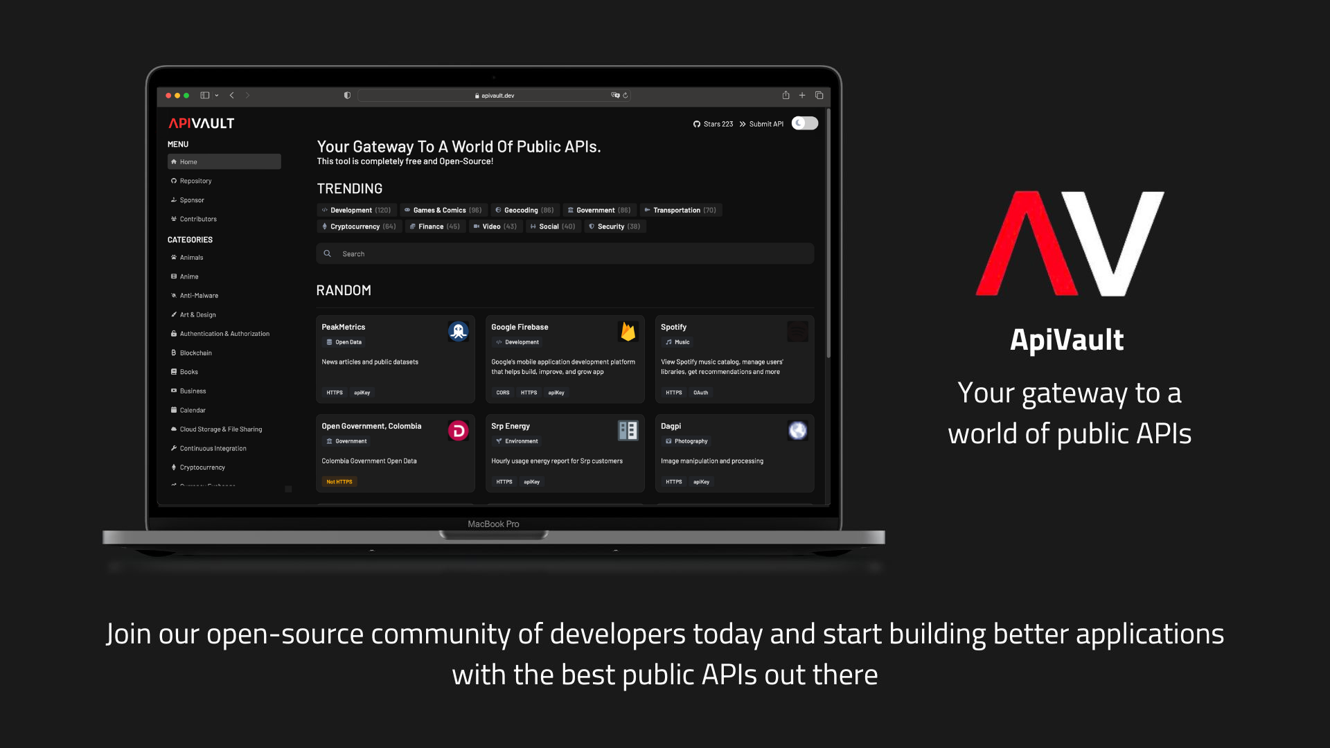 ApiVault screenshot 3
