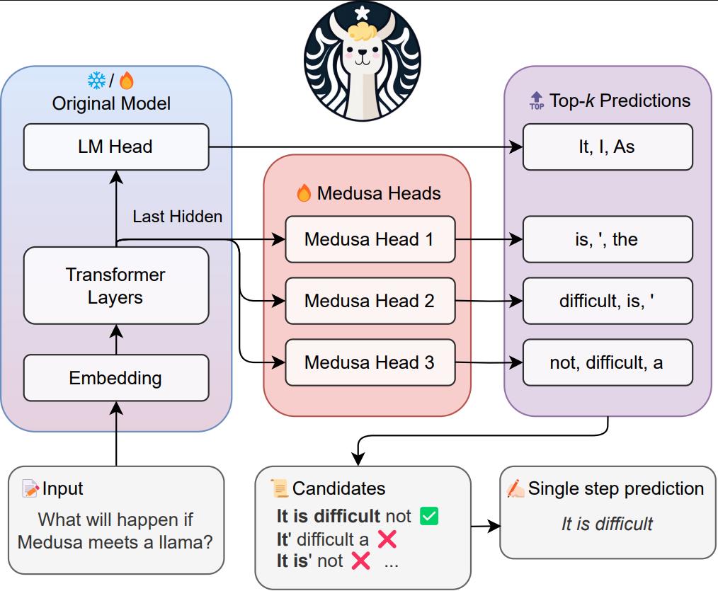 Medusa screenshot 2