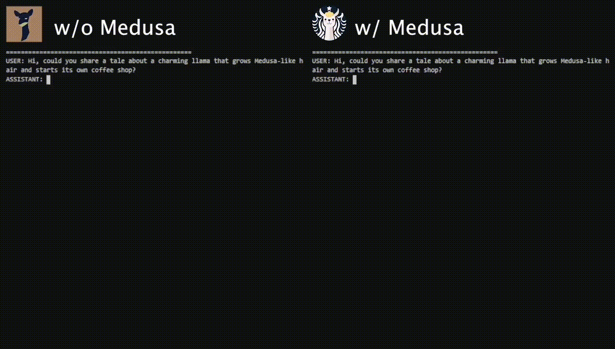 Medusa screenshot 1