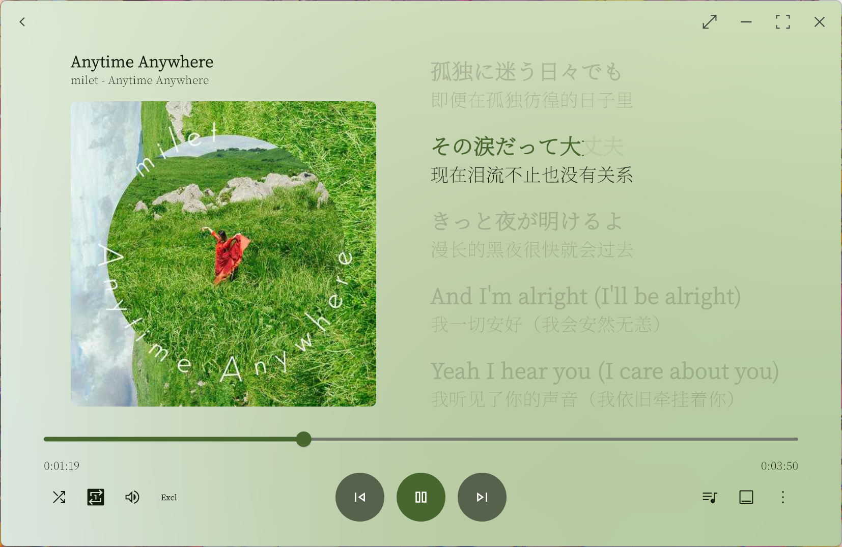 coriander_player screenshot 9