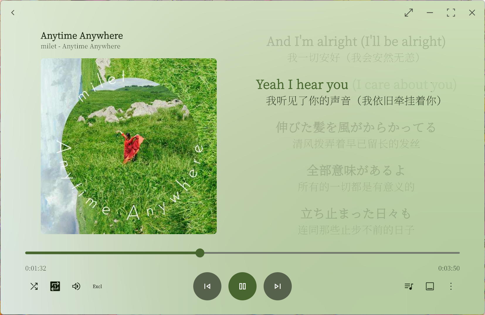 coriander_player screenshot 11