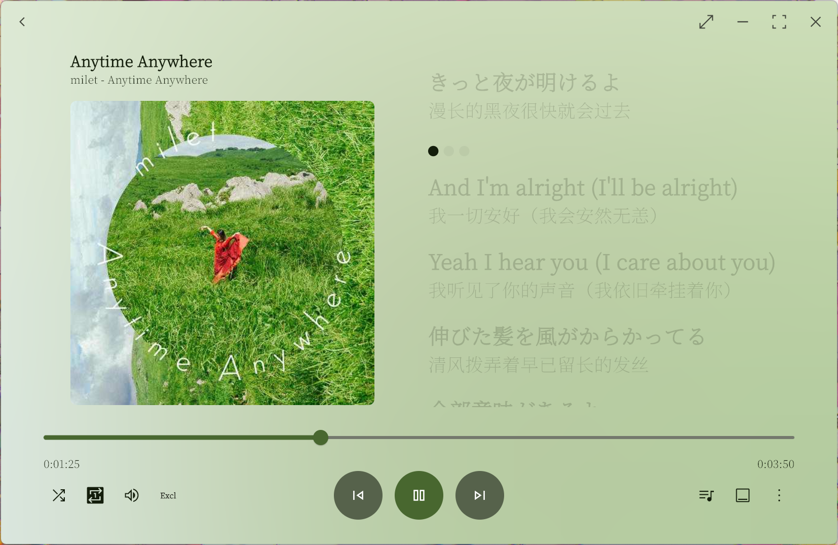 coriander_player screenshot 10