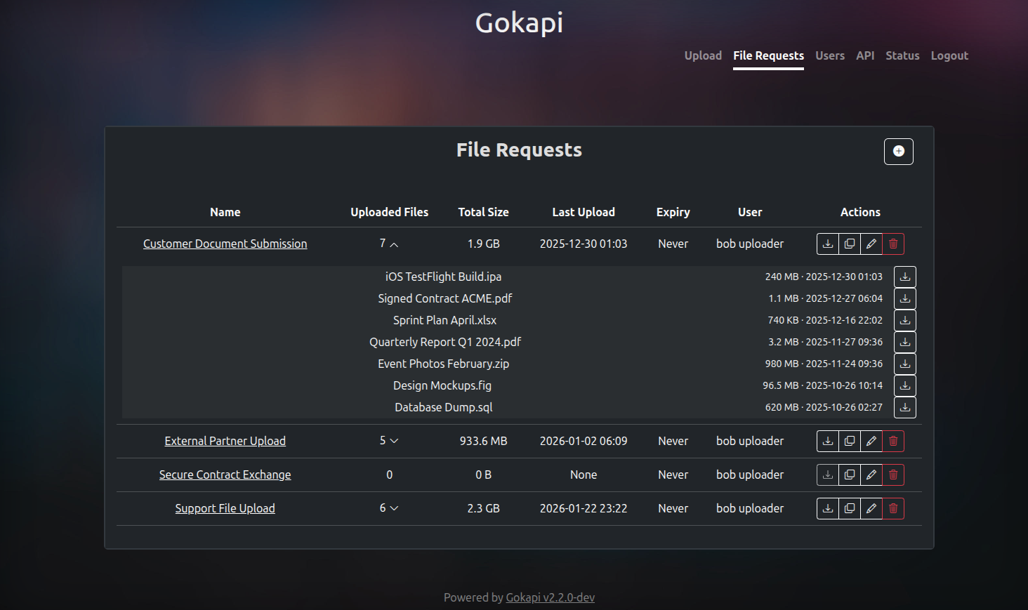 Gokapi screenshot 2