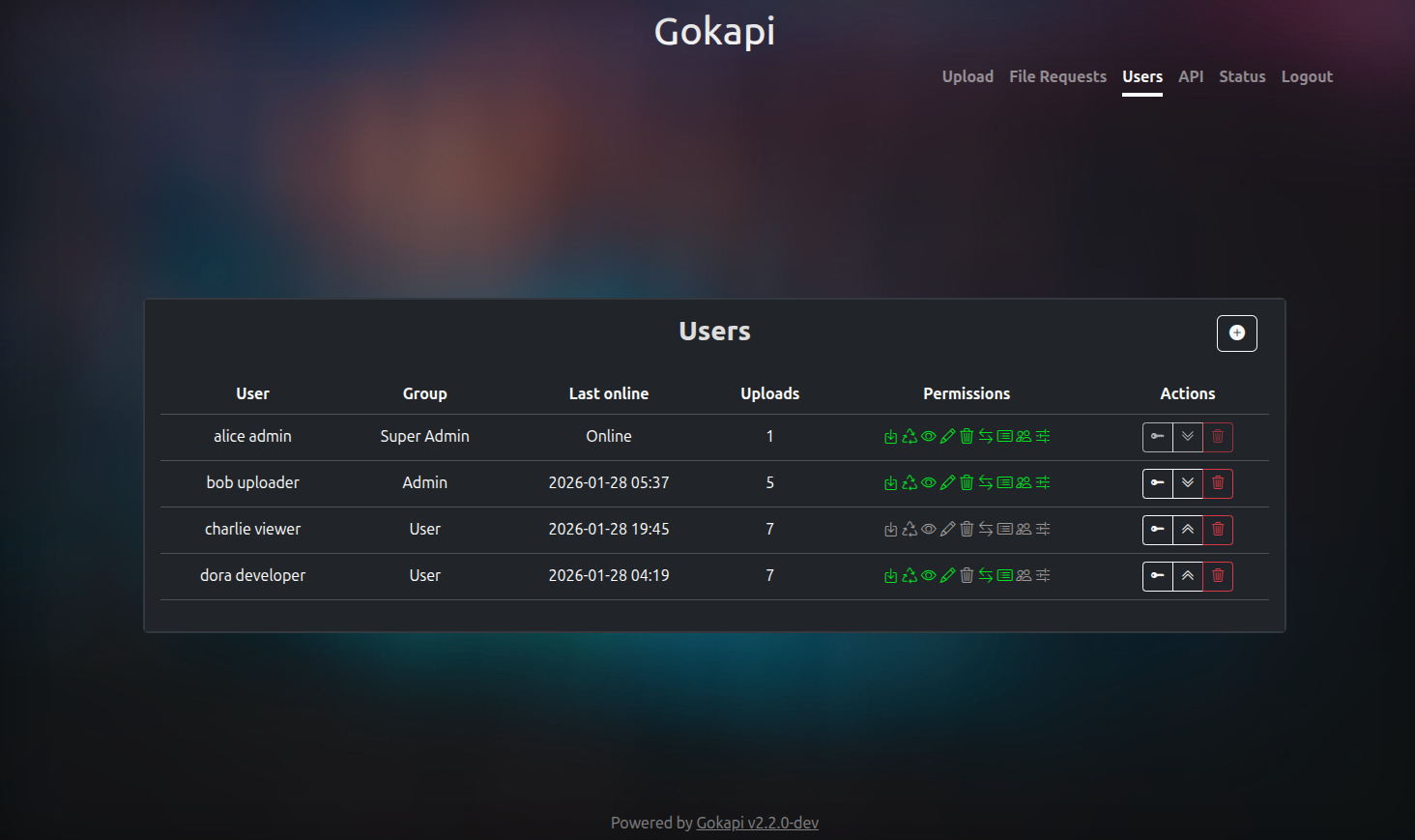Gokapi screenshot 3