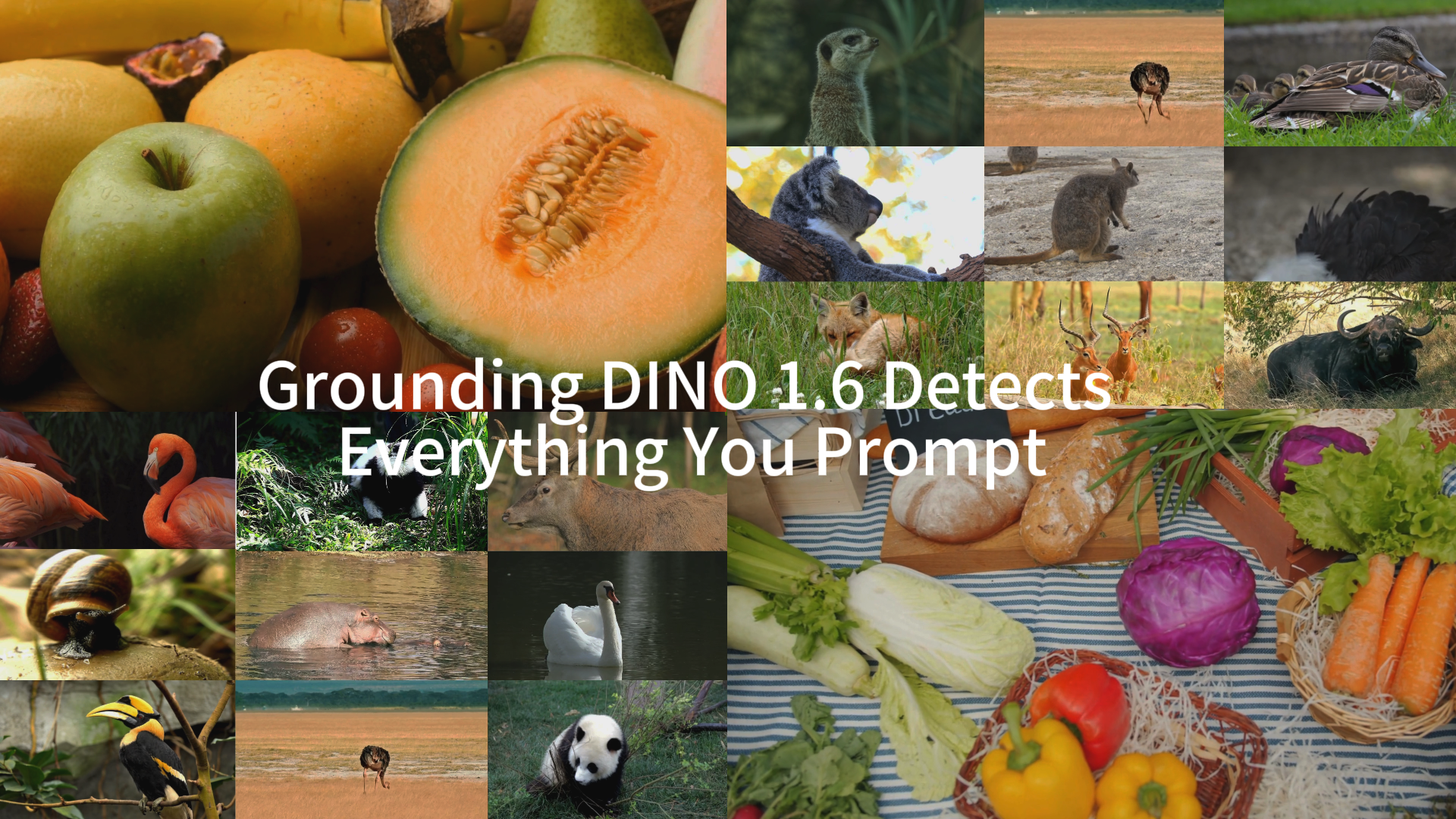 Grounding-DINO-1.5-API screenshot 1