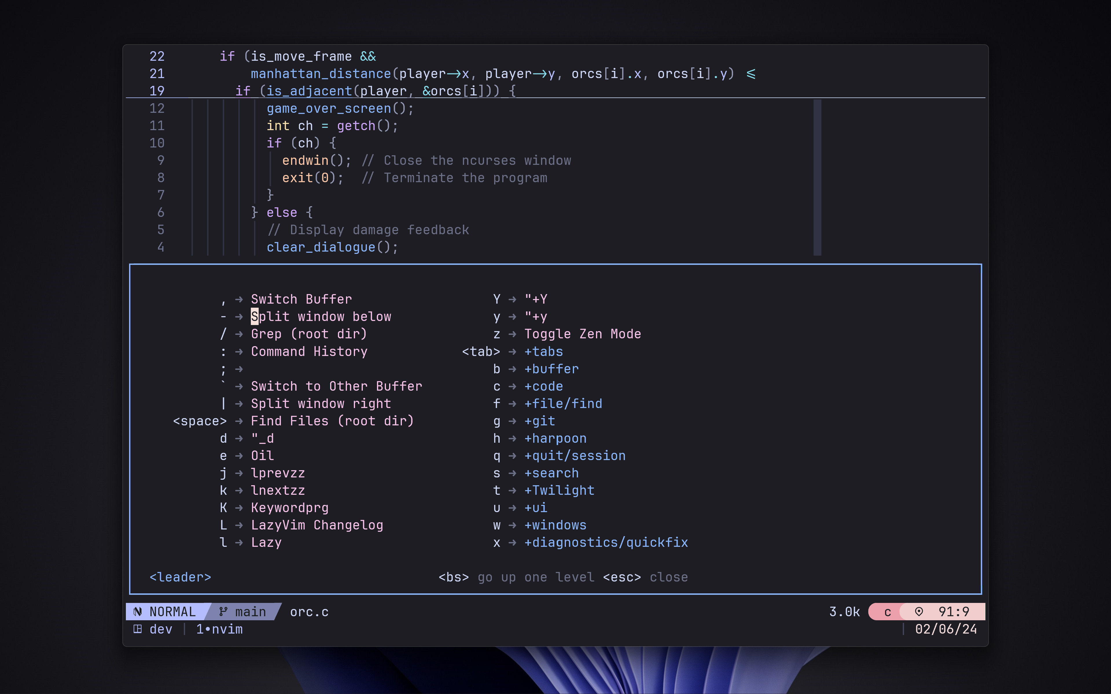 viis-lazyvim screenshot 4
