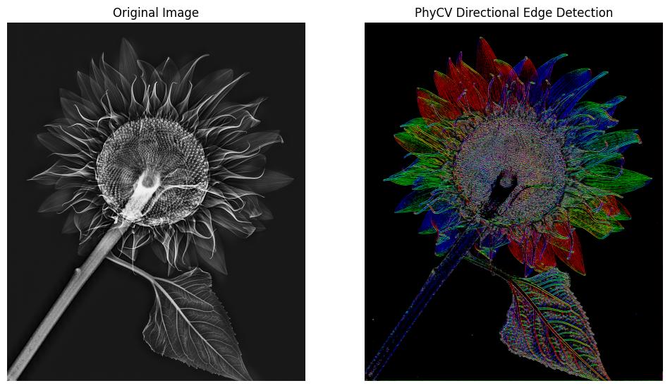 phycv screenshot 5