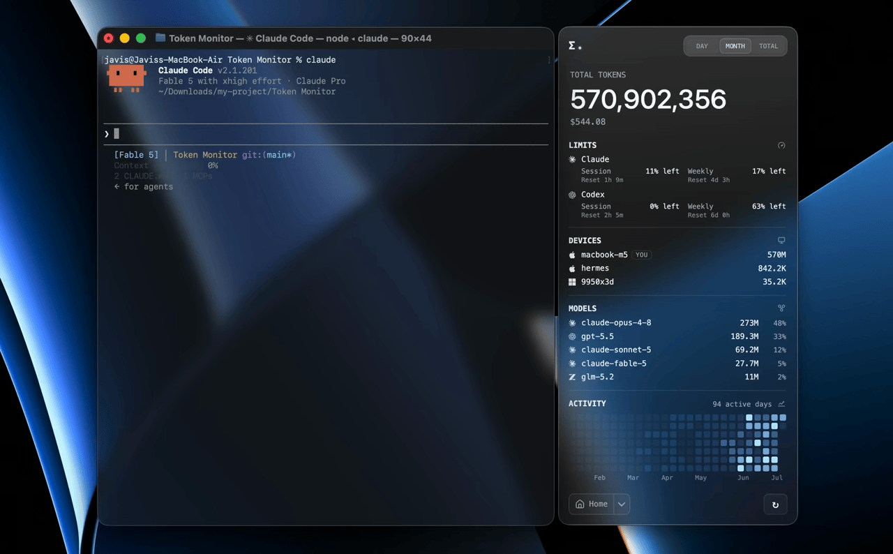 token-monitor screenshot 2